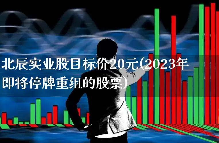 北辰实业股目标价20元(2023年即将停牌重组的股票)_https://www.xzdzchf.com_科创板_第1张