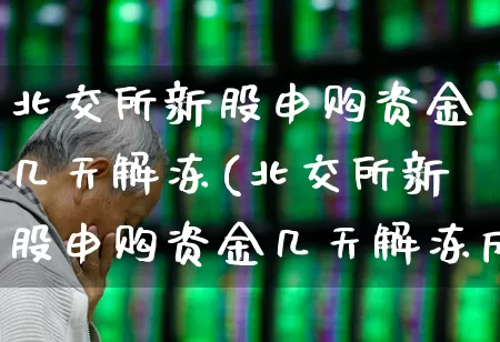 北交所新股申购资金几天解冻(北交所新股申购资金几天解冻成功)_https://www.xzdzchf.com_科创板_第1张