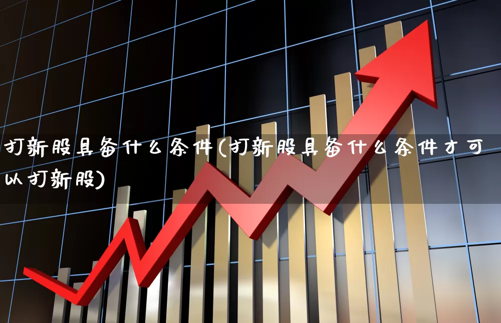 打新股具备什么条件(打新股具备什么条件才可以打新股)_https://www.xzdzchf.com_创业板_第1张
