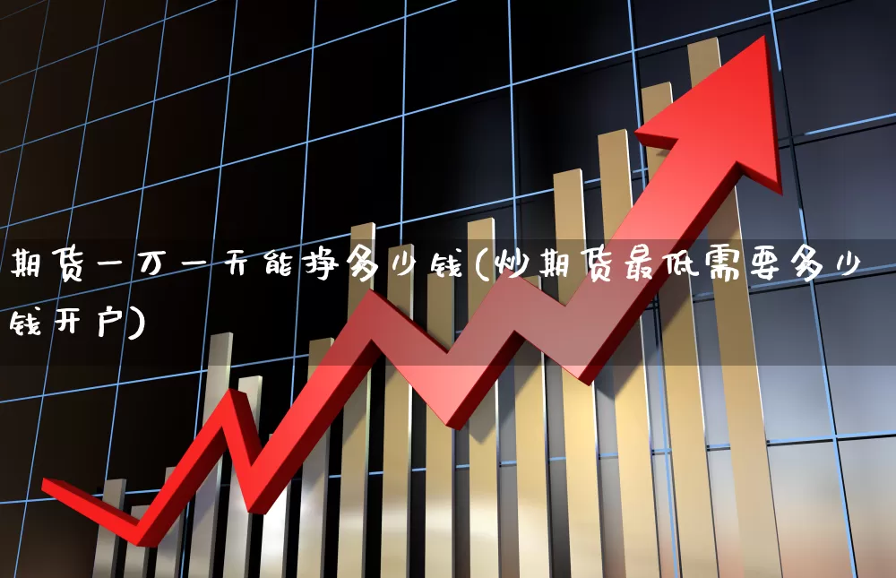 期货一万一天能挣多少钱(炒期货最低需要多少钱开户)_https://www.xzdzchf.com_北交所_第1张