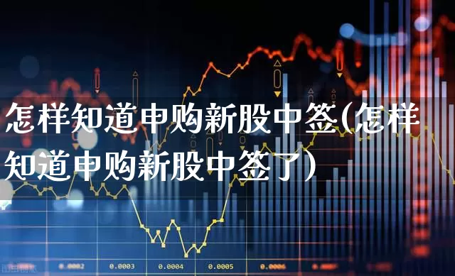 怎样知道申购新股中签(怎样知道申购新股中签了)_https://www.xzdzchf.com_科创板_第1张