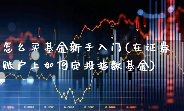 怎么买基金新手入门(在证券账户上如何定投指数基金)_https://www.xzdzchf.com_北交所_第1张