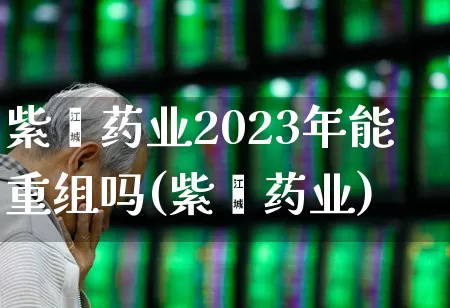 紫鑫药业2023年能重组吗(紫鑫药业)_https://www.xzdzchf.com_科创板_第1张