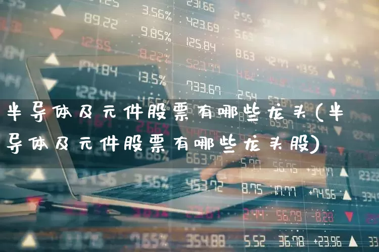 半导体及元件股票有哪些龙头(半导体及元件股票有哪些龙头股)_https://www.xzdzchf.com_北交所_第1张