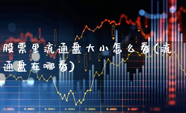 股票里流通盘大小怎么看(流通盘在哪看)_https://www.xzdzchf.com_创业板_第1张
