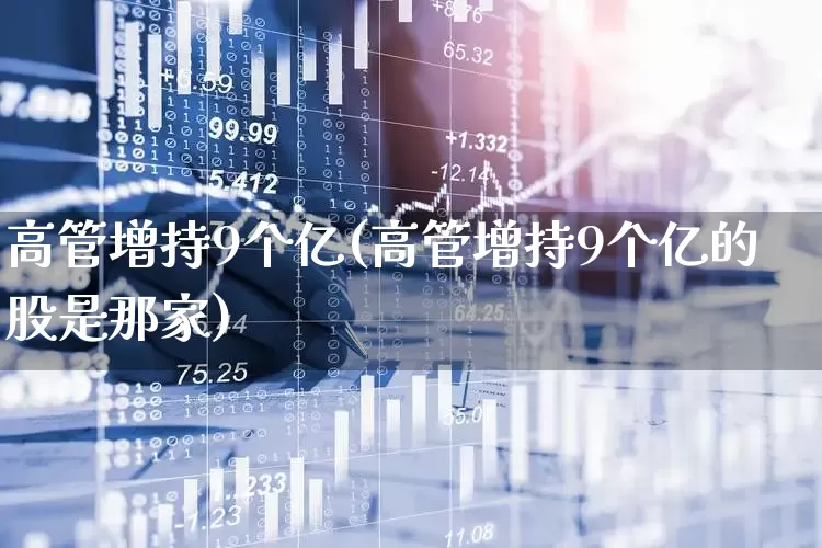 高管增持9个亿(高管增持9个亿的股是那家)_https://www.xzdzchf.com_科创板_第1张