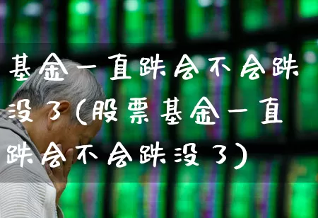 基金一直跌会不会跌没了(股票基金一直跌会不会跌没了)_https://www.xzdzchf.com_创业板_第1张