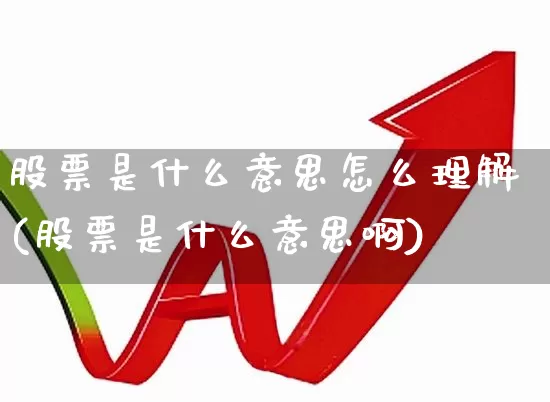 股票是什么意思怎么理解(股票是什么意思啊)_https://www.xzdzchf.com_创业板_第1张
