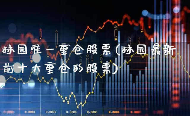 林园唯一重仓股票(林园最新前十大重仓的股票)_https://www.xzdzchf.com_北交所_第1张