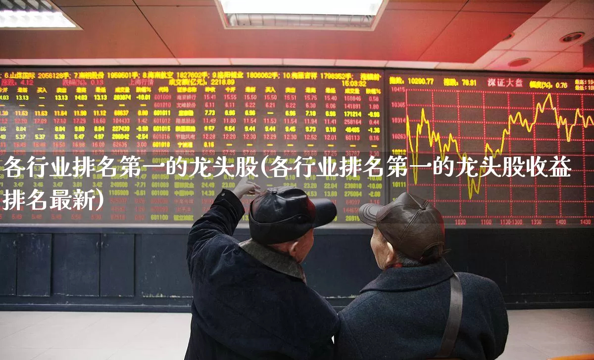 各行业排名第一的龙头股(各行业排名第一的龙头股收益排名最新)_https://www.xzdzchf.com_科创板_第1张