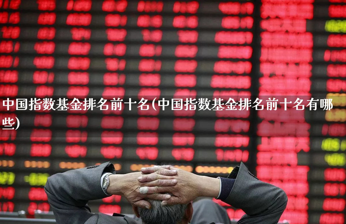 中国指数基金排名前十名(中国指数基金排名前十名有哪些)_https://www.xzdzchf.com_北交所_第1张