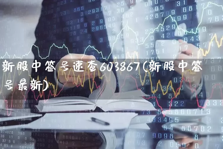 新股中签号速查603867(新股中签号最新)_https://www.xzdzchf.com_北交所_第1张