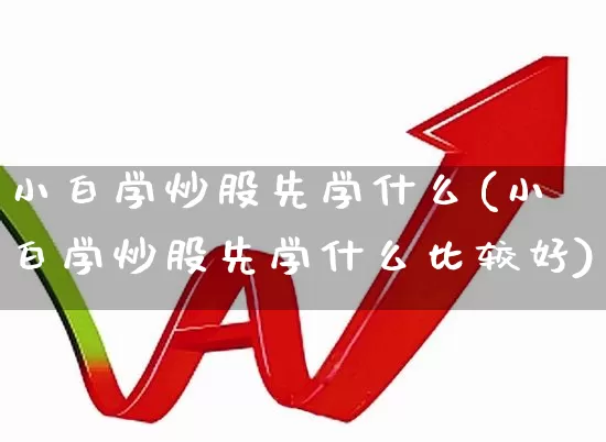 小白学炒股先学什么(小白学炒股先学什么比较好)_https://www.xzdzchf.com_北交所_第1张
