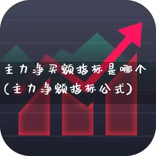主力净买额指标是哪个(主力净额指标公式)_https://www.xzdzchf.com_上交所_第1张