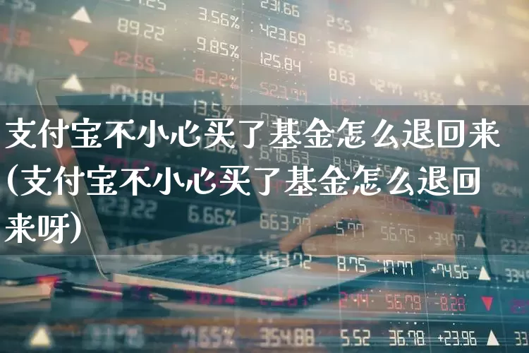 支付宝不小心买了基金怎么退回来(支付宝不小心买了基金怎么退回来呀)_https://www.xzdzchf.com_科创板_第1张