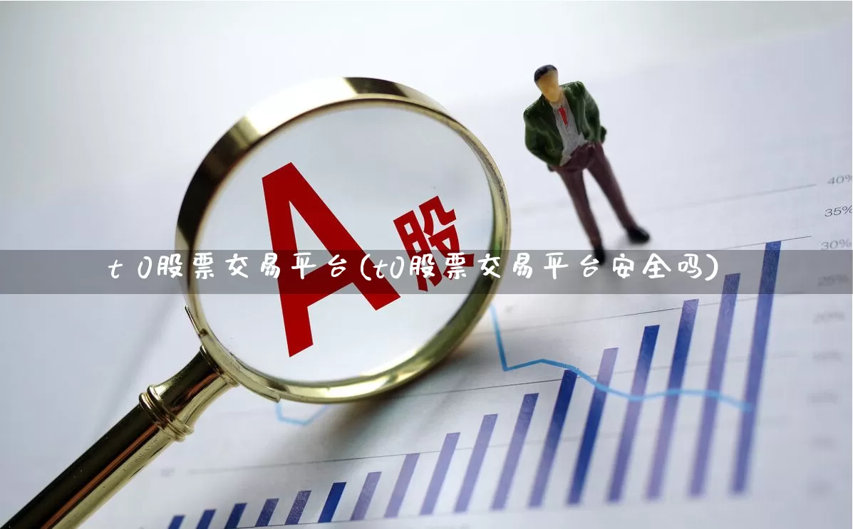t 0股票交易平台(t0股票交易平台安全吗)_https://www.xzdzchf.com_创业板_第1张