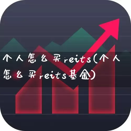 个人怎么买reits(个人怎么买reits基金)_https://www.xzdzchf.com_创业板_第1张