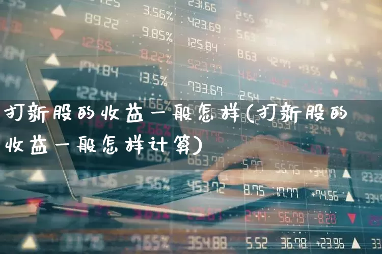 打新股的收益一般怎样(打新股的收益一般怎样计算)_https://www.xzdzchf.com_科创板_第1张