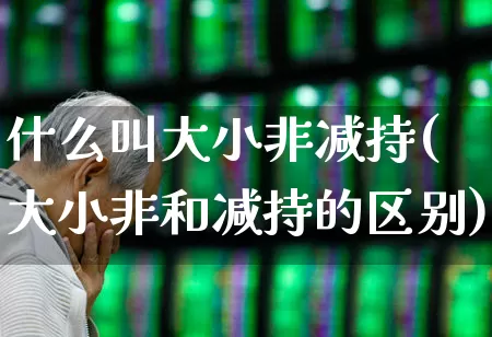 什么叫大小非减持(大小非和减持的区别)_https://www.xzdzchf.com_北交所_第1张