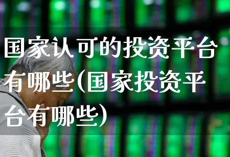 国家认可的投资平台有哪些(国家投资平台有哪些)_https://www.xzdzchf.com_创业板_第1张