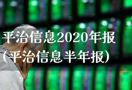 平治信息2020年报(平治信息半年报)_https://www.xzdzchf.com_深交所_第1张