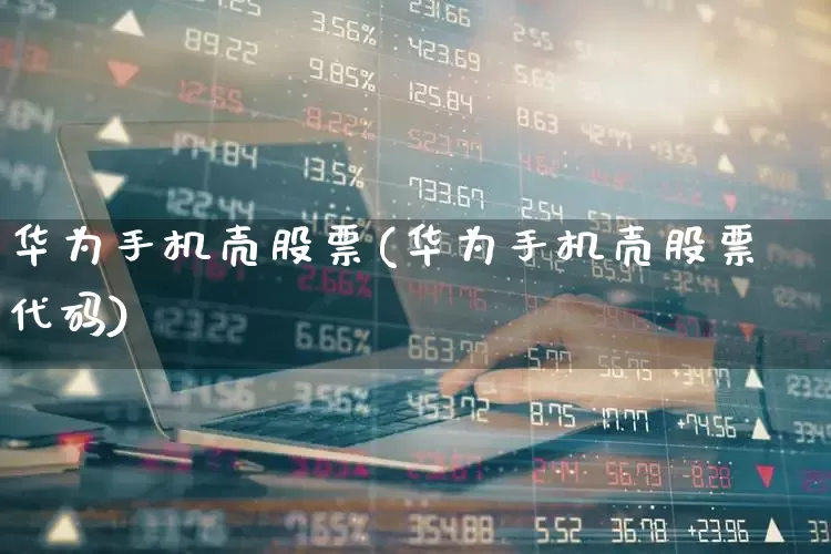 华为手机壳股票(华为手机壳股票代码)_https://www.xzdzchf.com_科创板_第1张
