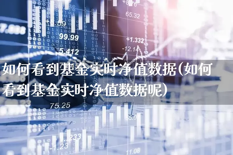 如何看到基金实时净值数据(如何看到基金实时净值数据呢)_https://www.xzdzchf.com_创业板_第1张