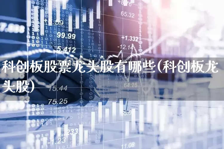 科创板股票龙头股有哪些(科创板龙头股)_https://www.xzdzchf.com_科创板_第1张