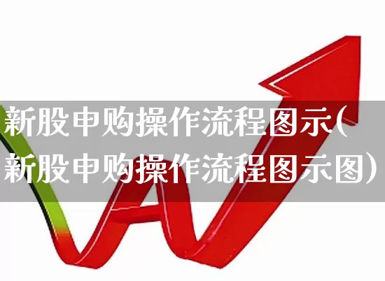 新股申购操作流程图示(新股申购操作流程图示图)_https://www.xzdzchf.com_科创板_第1张