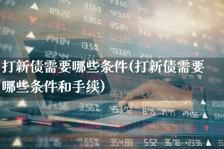 打新债需要哪些条件(打新债需要哪些条件和手续)_https://www.xzdzchf.com_上交所_第1张