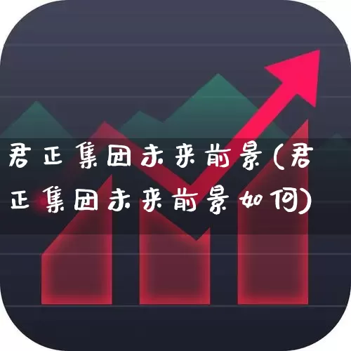 君正集团未来前景(君正集团未来前景如何)_https://www.xzdzchf.com_深交所_第1张