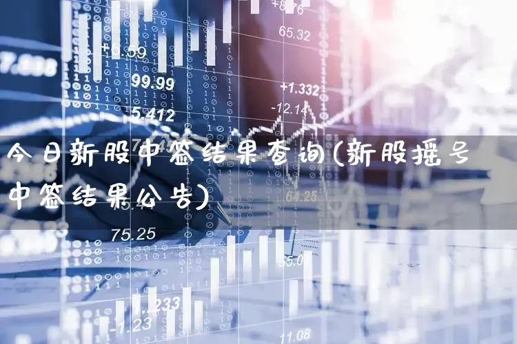今日新股中签结果查询(新股摇号中签结果公告)_https://www.xzdzchf.com_上交所_第1张