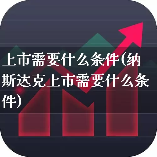上市需要什么条件(纳斯达克上市需要什么条件)_https://www.xzdzchf.com_北交所_第1张