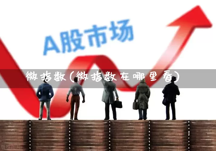 微指数(微指数在哪里看)_https://www.xzdzchf.com_北交所_第1张