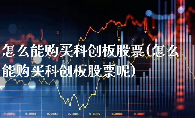 怎么能购买科创板股票(怎么能购买科创板股票呢)_https://www.xzdzchf.com_创业板_第1张