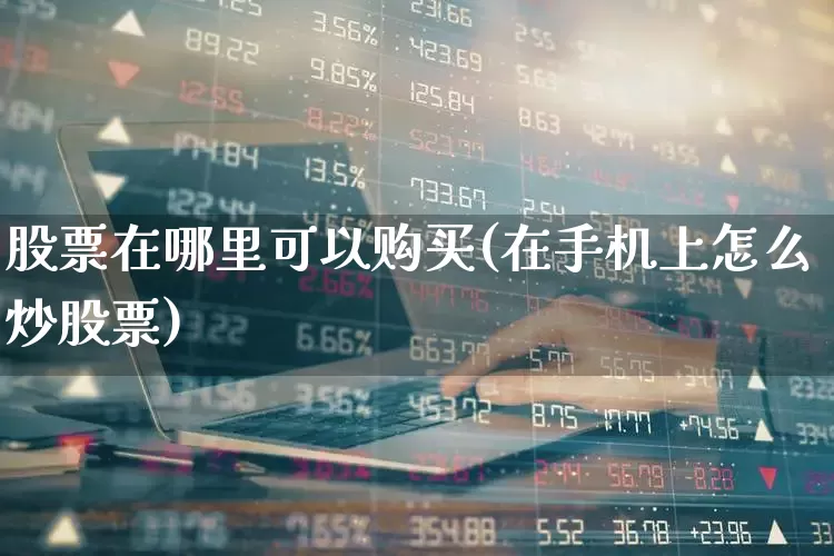 股票在哪里可以购买(在手机上怎么炒股票)_https://www.xzdzchf.com_科创板_第1张