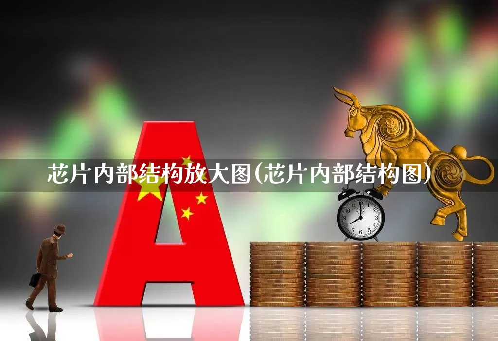 芯片内部结构放大图(芯片内部结构图)_https://www.xzdzchf.com_北交所_第1张