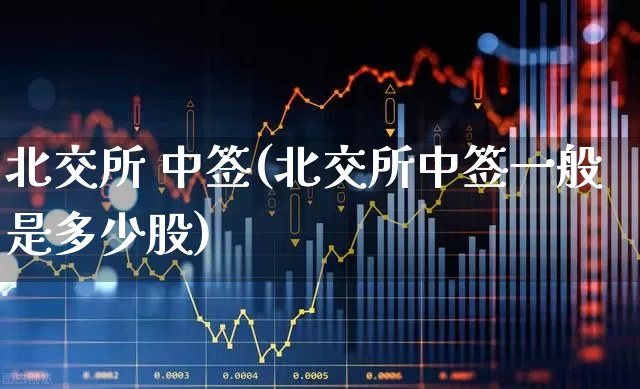 北交所 中签(北交所中签一般是多少股)_https://www.xzdzchf.com_上交所_第1张