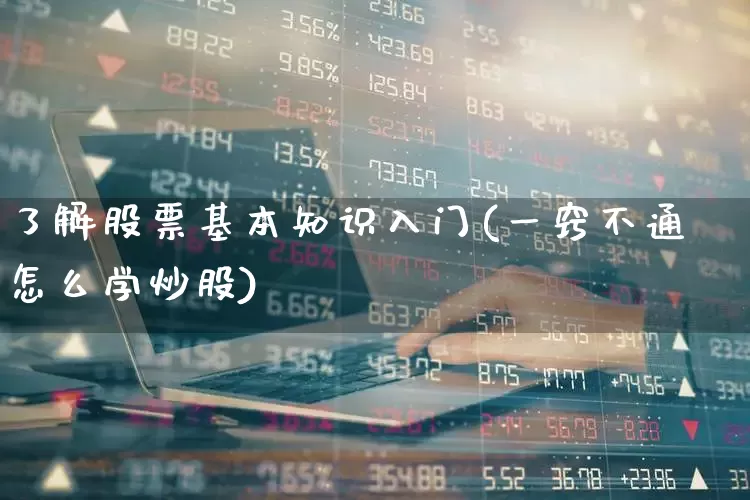 了解股票基本知识入门(一窍不通怎么学炒股)_https://www.xzdzchf.com_深交所_第1张
