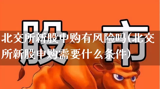 北交所新股申购有风险吗(北交所新股申购需要什么条件)_https://www.xzdzchf.com_创业板_第1张