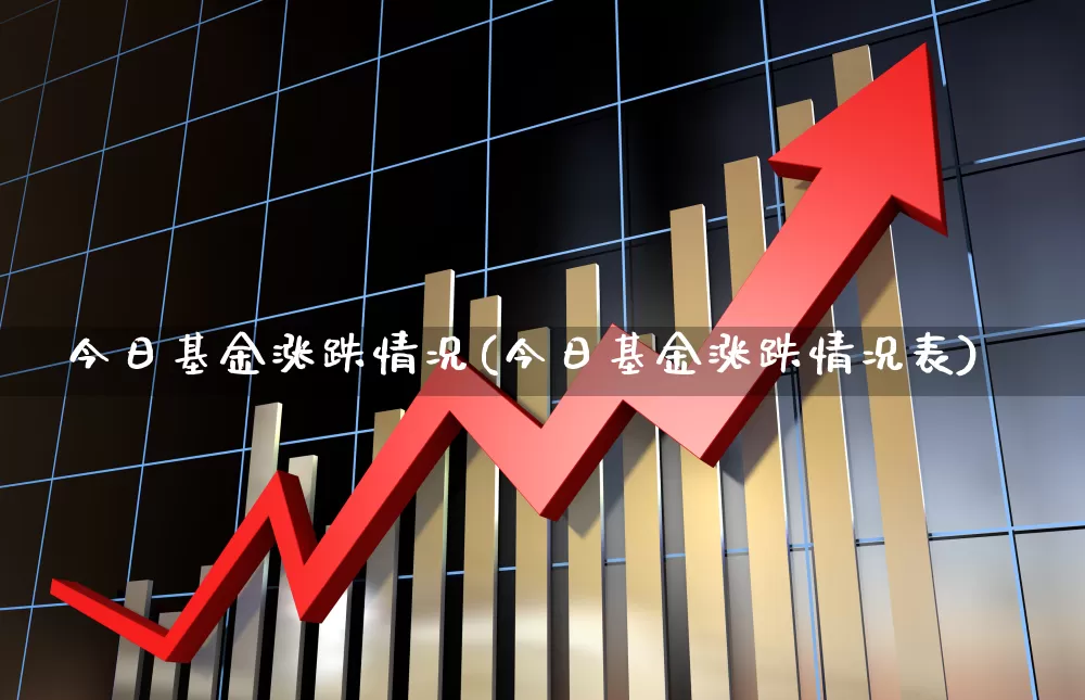 今日基金涨跌情况(今日基金涨跌情况表)_https://www.xzdzchf.com_深交所_第1张
