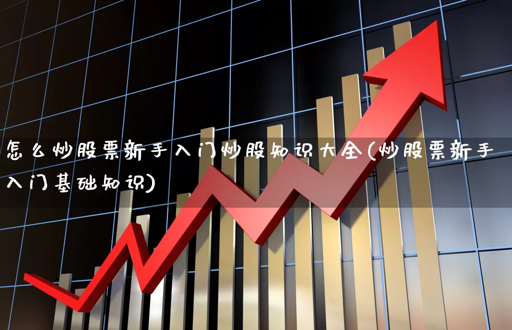 怎么炒股票新手入门炒股知识大全(炒股票新手入门基础知识)_https://www.xzdzchf.com_北交所_第1张