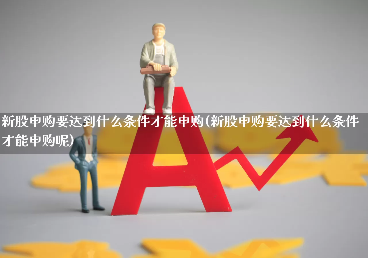 新股申购要达到什么条件才能申购(新股申购要达到什么条件才能申购呢)_深交所_第1张_财经网 新股申购要达到什么条件才能申购(新股申购要达到什么条件才能申购呢)_https://www.xzdzchf.com_深交所_第1张