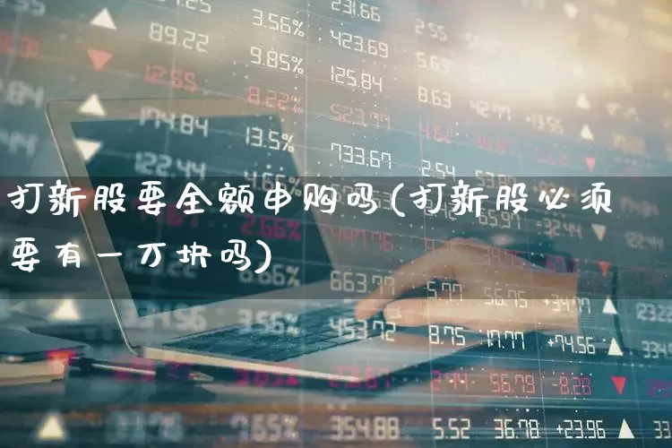 打新股要全额申购吗(打新股必须要有一万块吗)_https://www.xzdzchf.com_北交所_第1张
