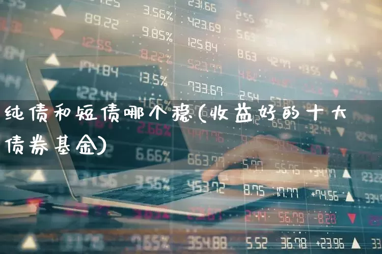 纯债和短债哪个稳(收益好的十大债券基金)_https://www.xzdzchf.com_创业板_第1张
