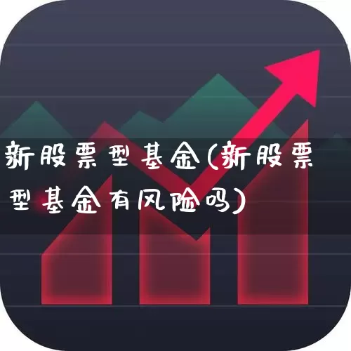 新股票型基金(新股票型基金有风险吗)_https://www.xzdzchf.com_创业板_第1张