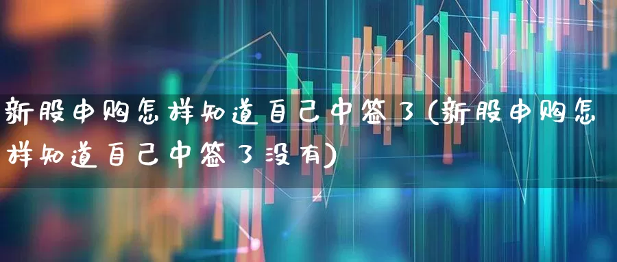 新股申购怎样知道自己中签了(新股申购怎样知道自己中签了没有)_https://www.xzdzchf.com_北交所_第1张