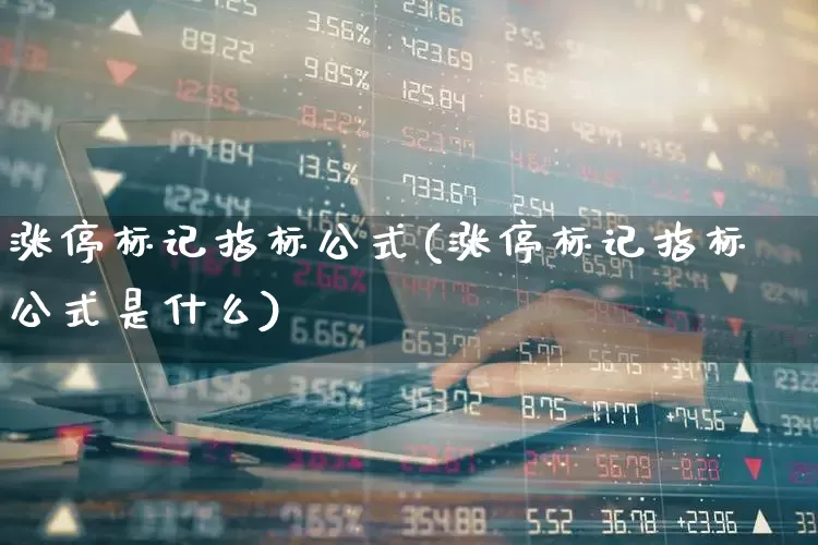 涨停标记指标公式(涨停标记指标公式是什么)_https://www.xzdzchf.com_创业板_第1张