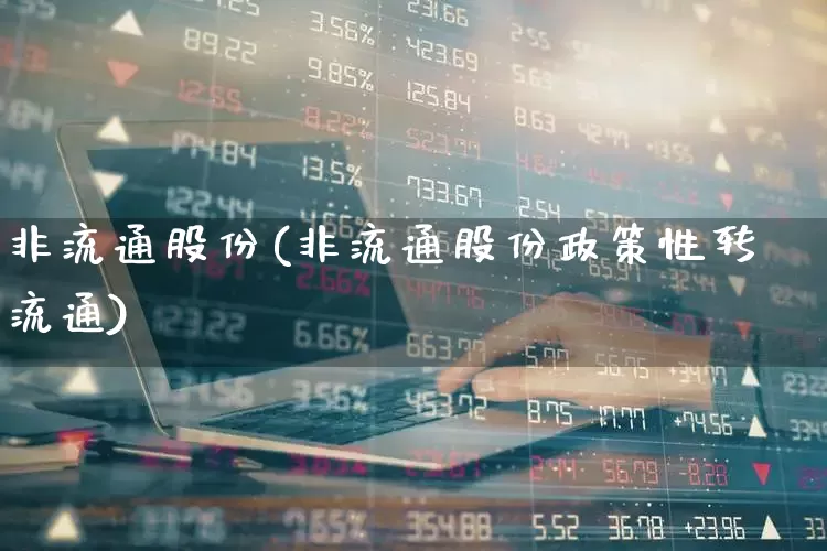 非流通股份(非流通股份政策性转流通)_https://www.xzdzchf.com_上交所_第1张