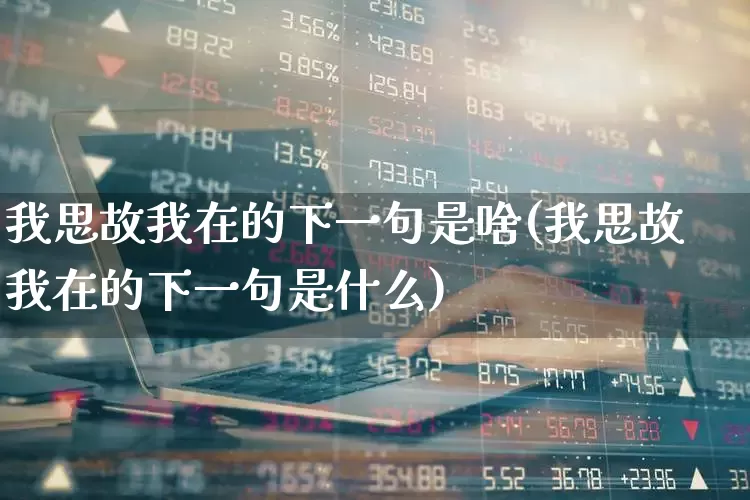 我思故我在的下一句是啥(我思故我在的下一句是什么)_https://www.xzdzchf.com_创业板_第1张